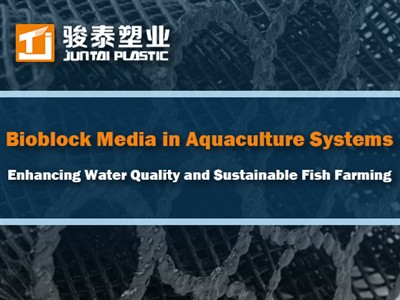Bioblokkmedier i akvakultursystemer: Forbedring av vannkvalitet og bærekrafti...